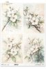 kwiaty flowers Blumen flores 